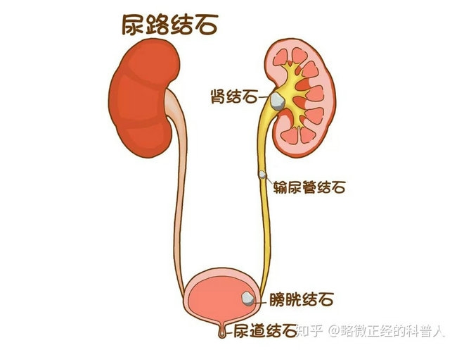 image003_副本 image003_副本
