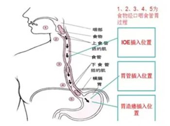 640 (1)_副本