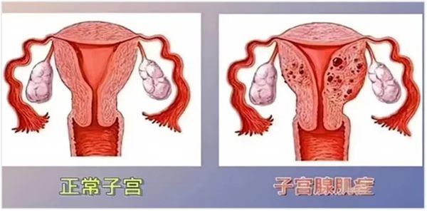 640 (2)_副本